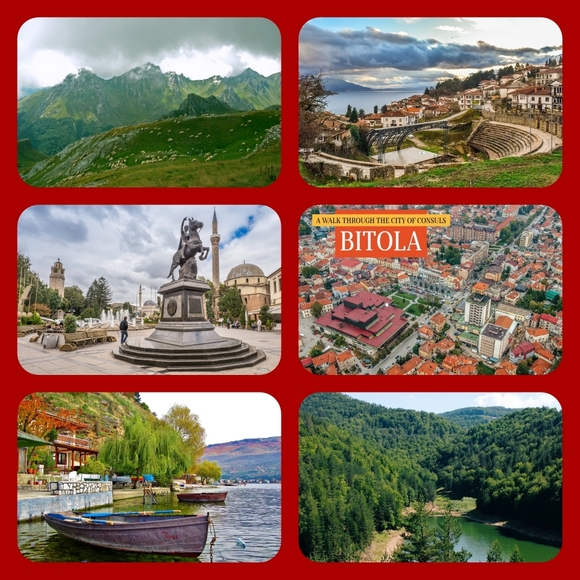 𓆸 Latest Statistics 𓆸 - Picture 10 of 16